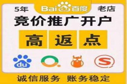 竞价广告与网络推广：如何实现精准营销